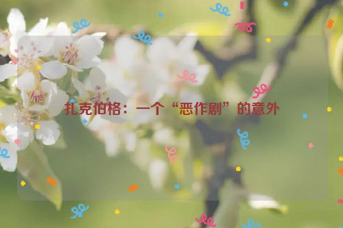 扎克伯格：一个“恶作剧”的意外