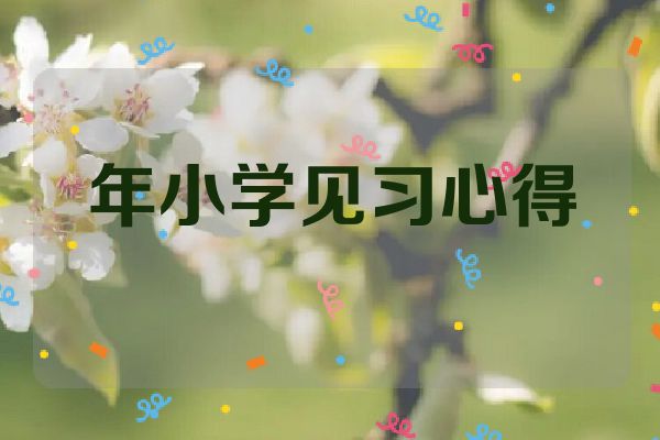 年小学见习心得