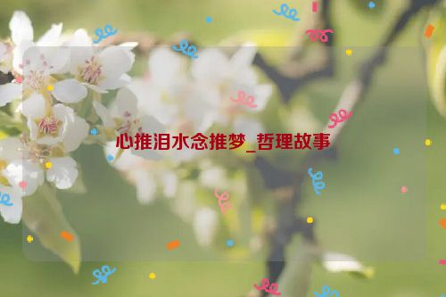 心推泪水念推梦_哲理故事