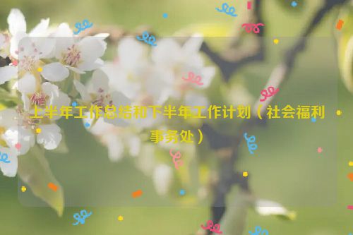 上半年工作总结和下半年工作计划（社会福利事务处）