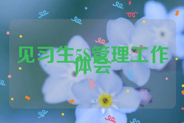 见习生5S管理工作体会