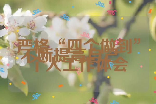 严格“四个做到”不断提高自己――个人工作体会