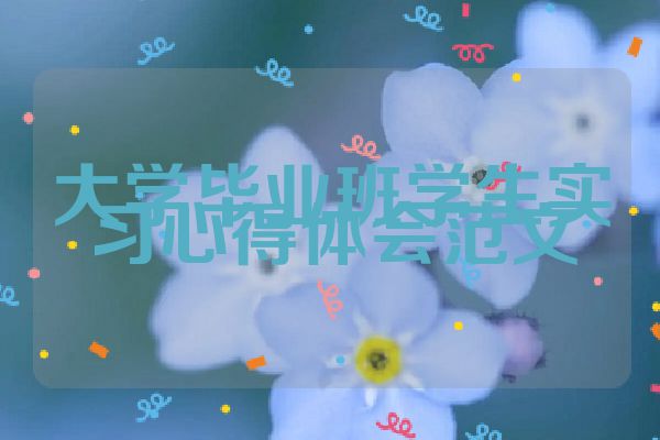 大学毕业班学生实习心得体会范文