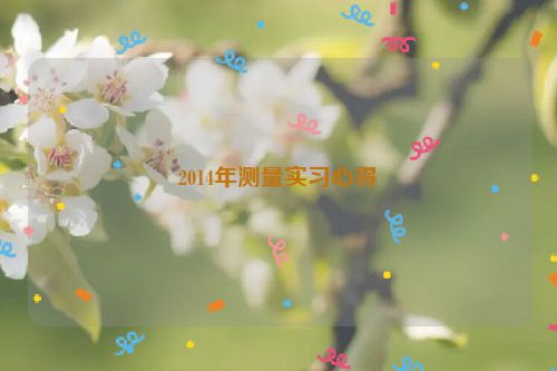 2014年测量实习心得