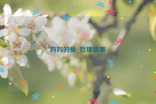 妈妈的爱_哲理故事