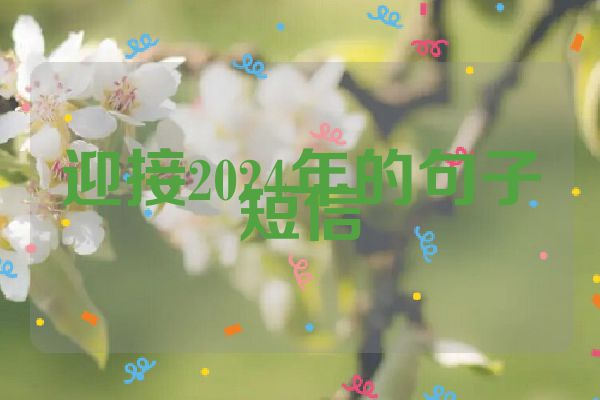 迎接2024年的句子短信