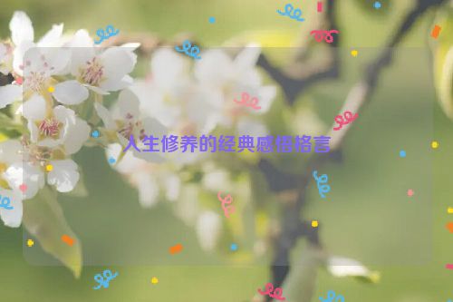 人生修养的经典感悟格言