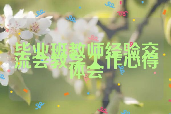 毕业班教师经验交流会教学工作心得体会