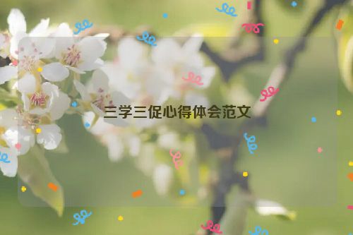 三学三促心得体会范文