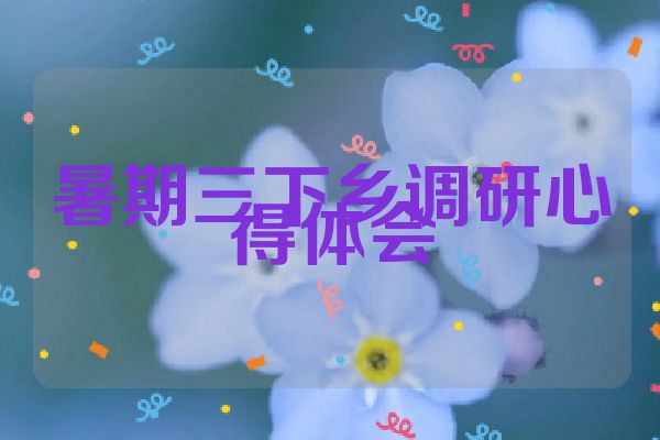 暑期三下乡调研心得体会