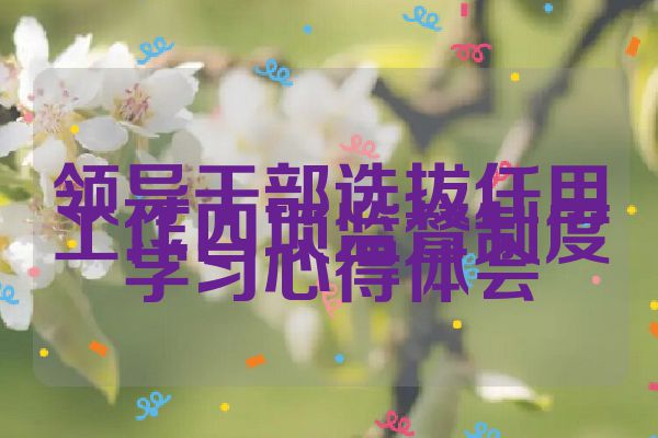 领导干部选拔任用工作四项监督制度学习心得体会