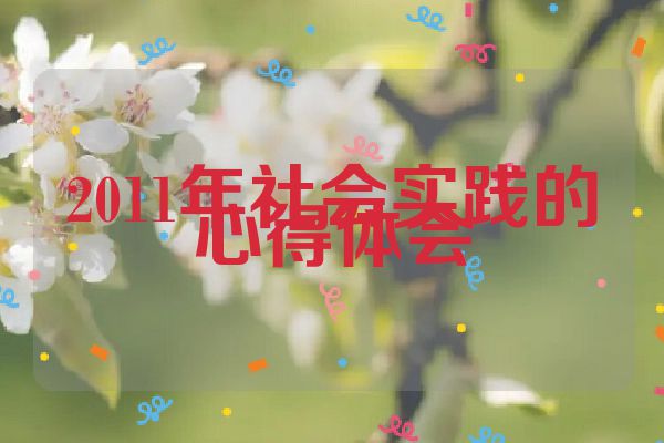 2011年社会实践的心得体会