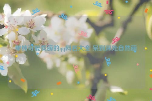 单纯可爱卖萌的qq网名大全 呆到深处自然萌